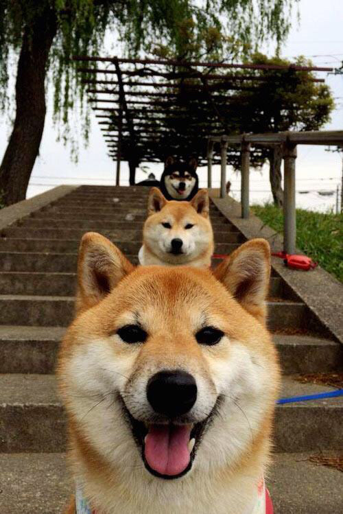 开云官网-40+得分零罚球！当福克斯打出生涯之夜，他才像真正的国王侠