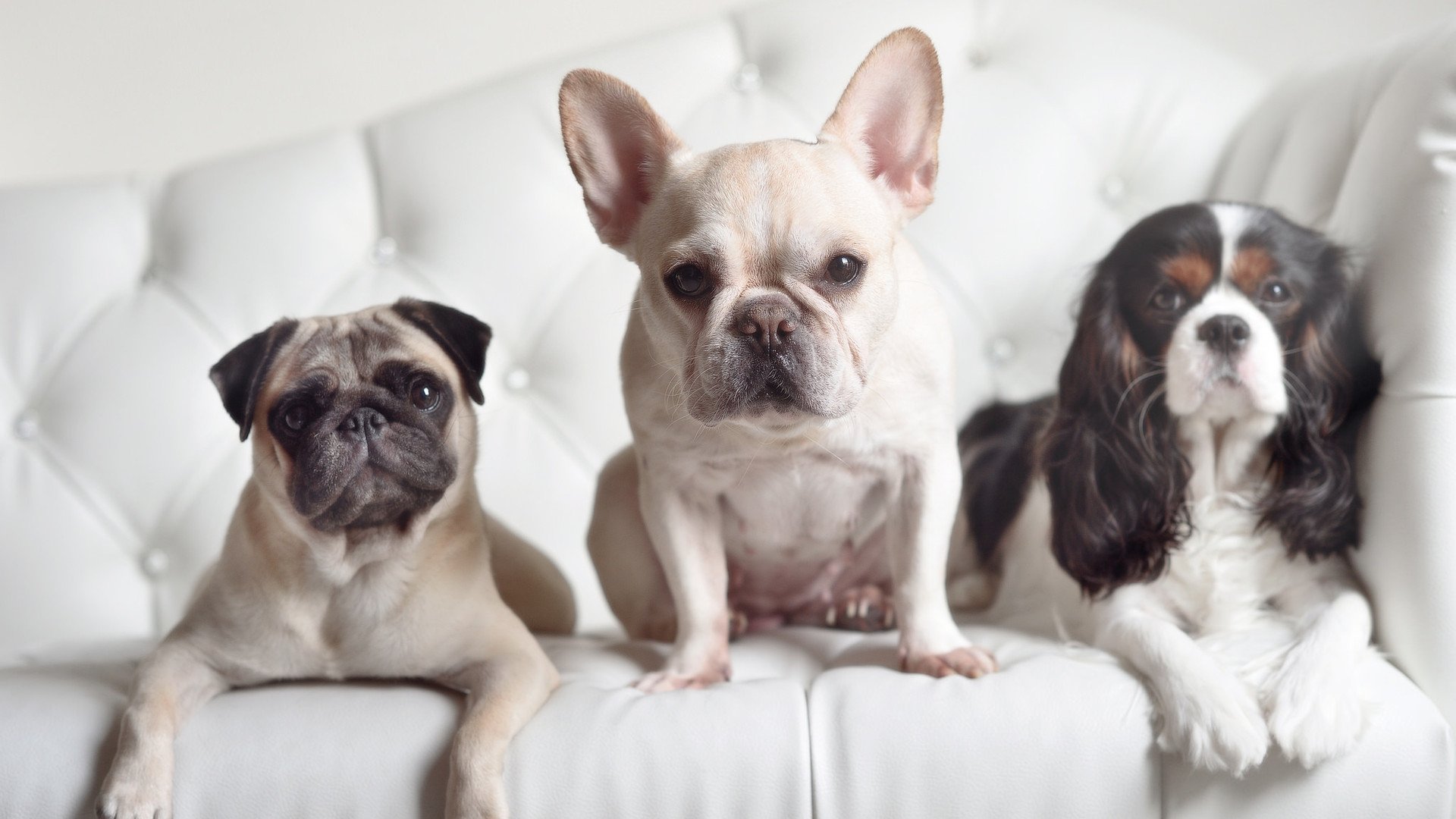 开云APP-不只是胜利，马刺击溃山西队背后，小贾伦·杰克逊如何成为冰冷的终结者