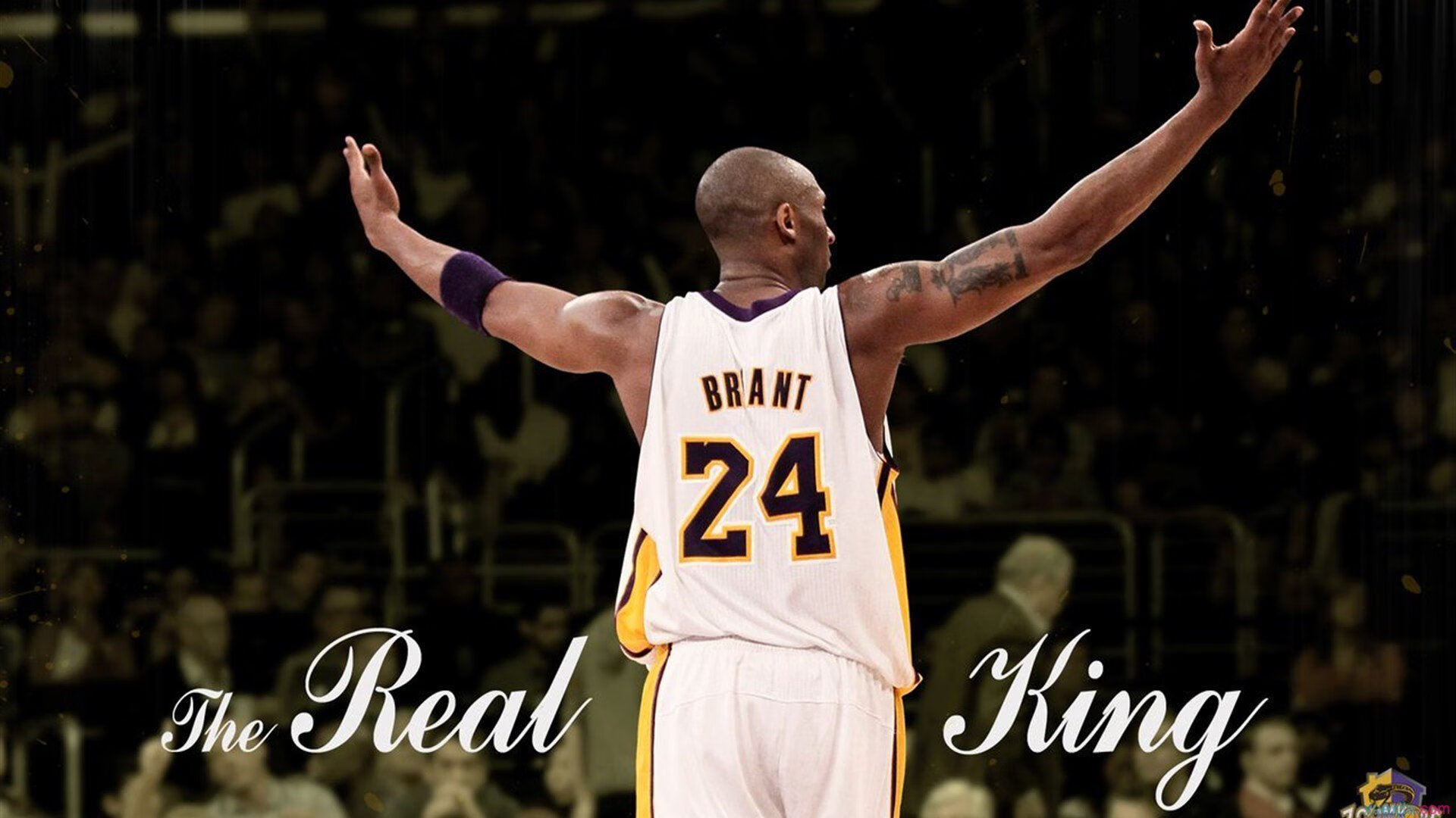 开云体育在线-末节风暴，德甲争冠中的几内亚意志与加拿大新星的隔空对话