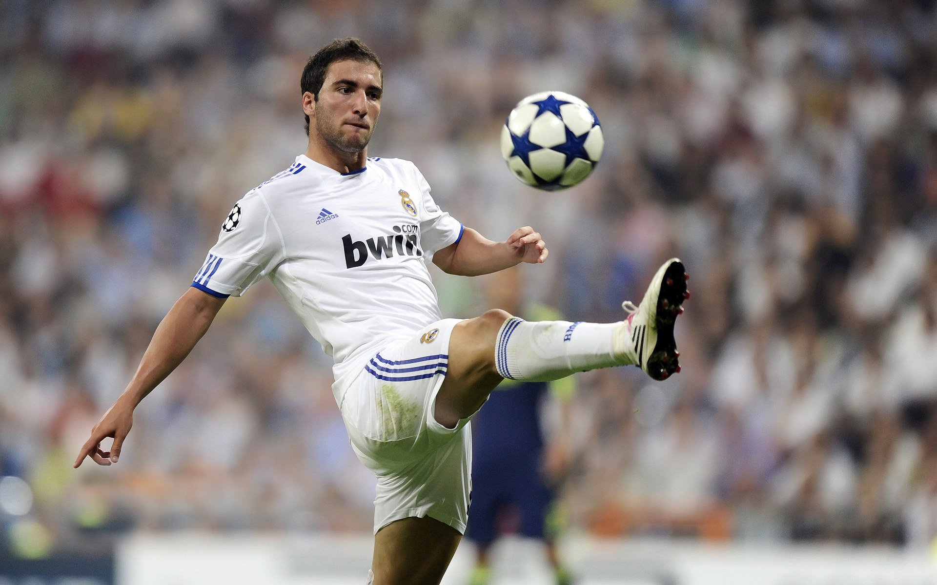 美加墨世界杯之夜，霍勒迪状态火热，传奇时刻点燃足球激情